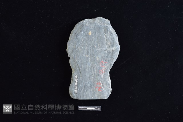 戈形器藏品圖，第2張