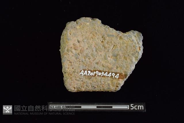 Accession Number:AA2019034494 Collection Image, Figure 2, Total 2 Figures