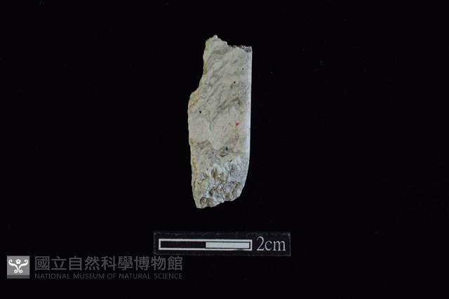 錛鑿形器藏品圖，第1張