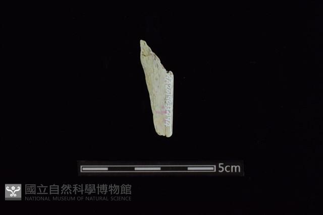 玉料藏品圖，第2張