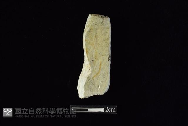 錛鑿形器藏品圖，第1張