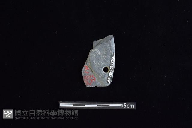 矛鏃形器藏品圖，第2張