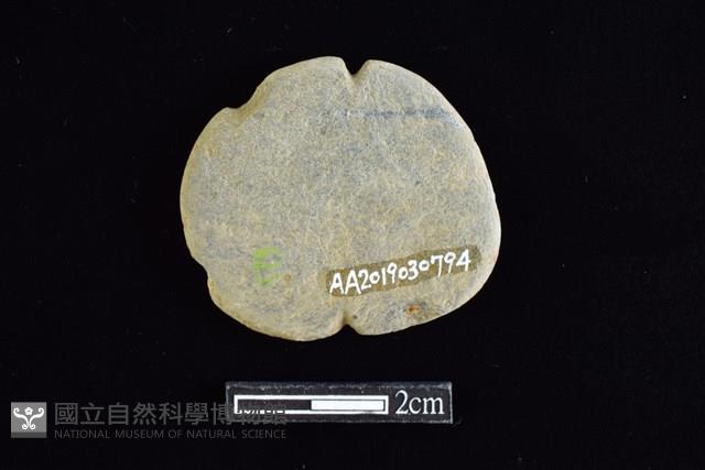 網墜藏品圖，第2張