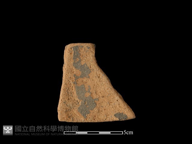 陶片藏品圖，第2張