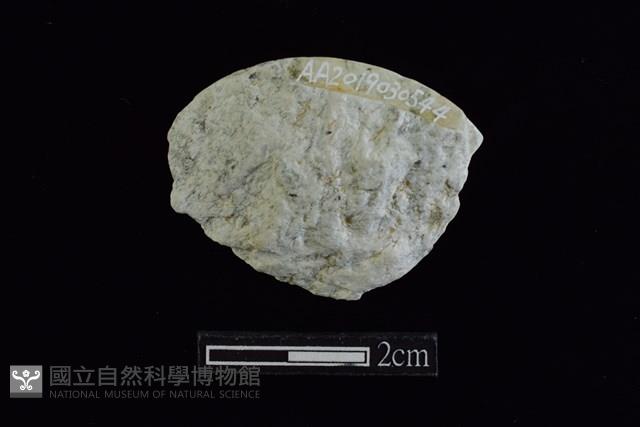 玉料藏品圖，第2張