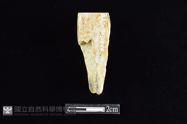 錛鑿形器藏品圖，第2張
