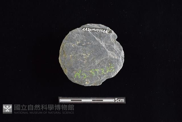 石圓片藏品圖，第2張