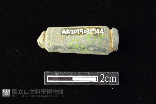 網墜藏品圖，第2張
