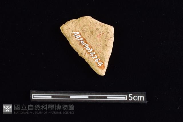 陶片藏品圖，第2張