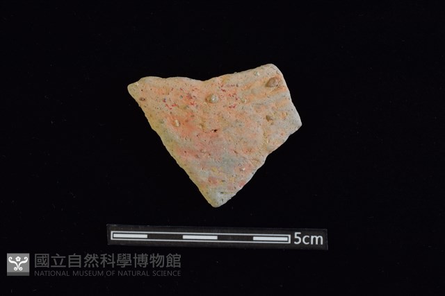 陶片藏品圖，第1張