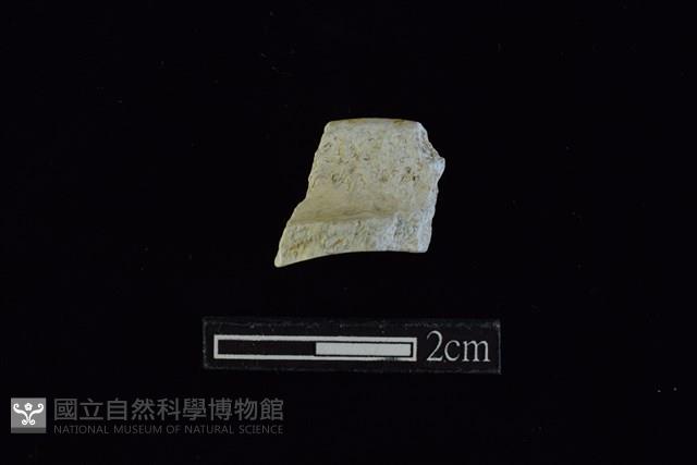玉環藏品圖，第2張