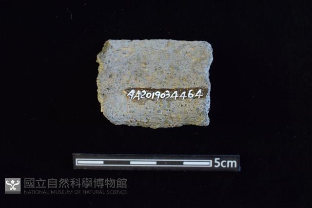 陶罐藏品圖，第2張