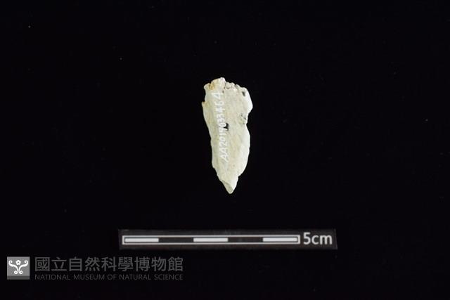 玉料藏品圖，第2張