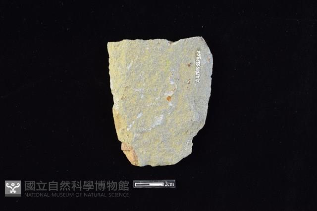 斧鋤形器藏品圖，第2張