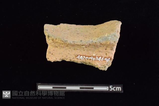 陶缽藏品圖，第2張