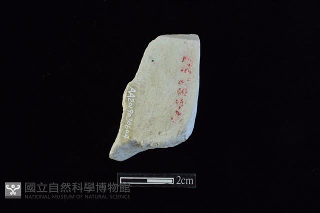 玉料藏品圖，第2張