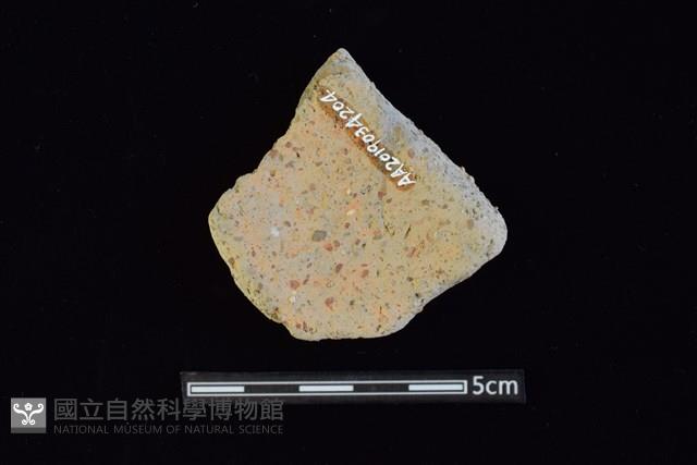 陶片藏品圖，第2張