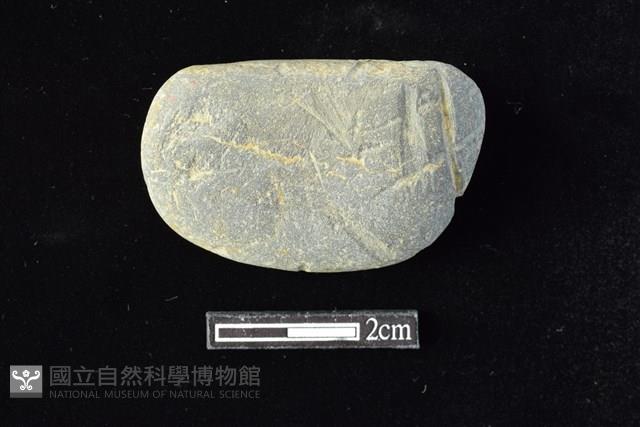 網墜藏品圖，第1張