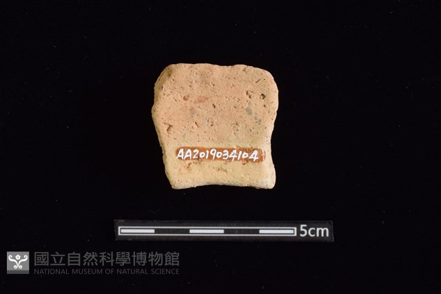 陶罐藏品圖，第2張