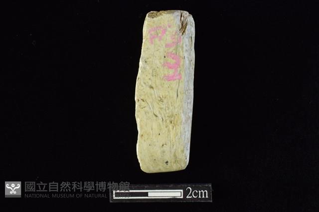 錛鑿形器藏品圖，第1張