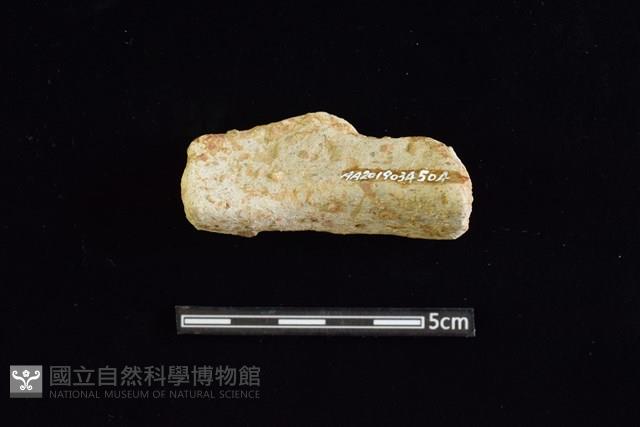 陶罐藏品圖，第2張