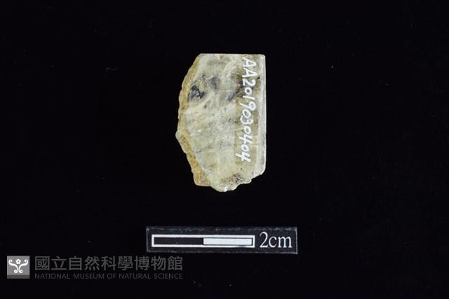 錛鑿形器藏品圖，第2張