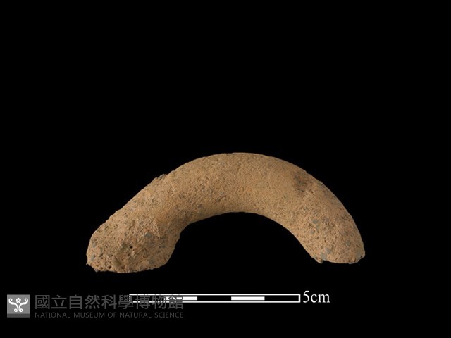 陶把藏品圖，第1張