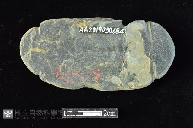 網墜藏品圖，第2張