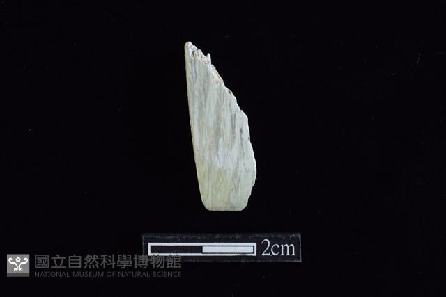 錛鑿形器藏品圖，第1張
