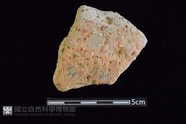 陶片藏品圖，第1張