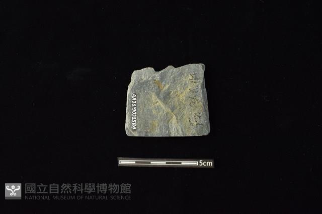 戈形器藏品圖，第2張