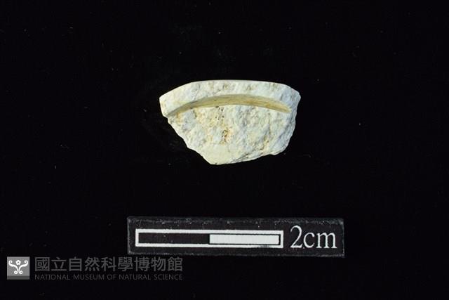 玉料藏品圖，第2張