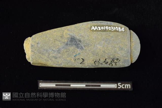 網墜藏品圖，第2張