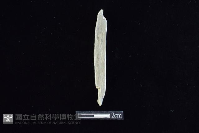 錛鑿形器藏品圖，第1張