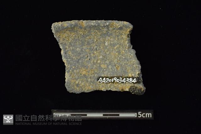 陶片藏品圖，第2張