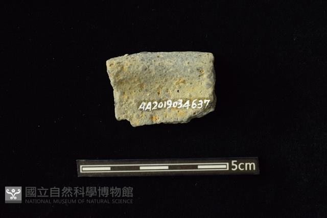 陶缽藏品圖，第2張