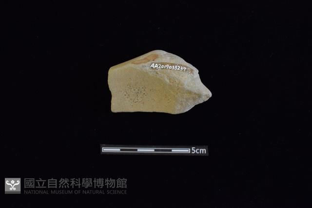 砥石藏品圖，第2張