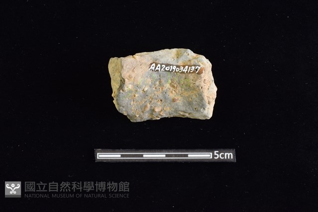 陶罐藏品圖，第2張