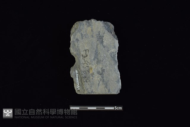 戈形器藏品圖，第2張