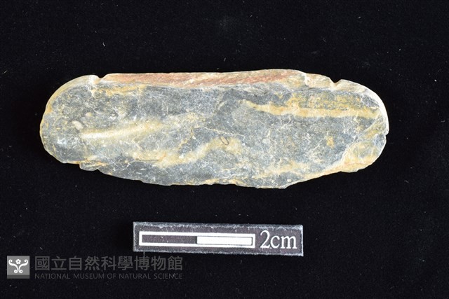 網墜藏品圖，第2張