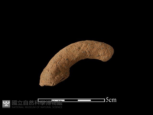 陶把藏品圖，第1張