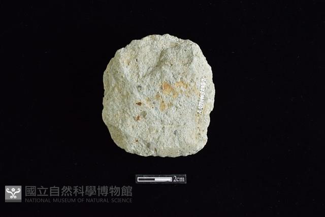 斧鋤形器藏品圖，第2張