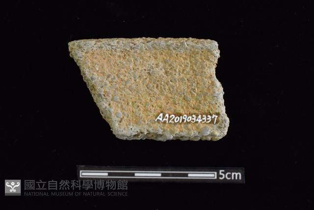 陶片藏品圖，第2張