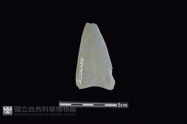 矛鏃形器藏品圖，第2張