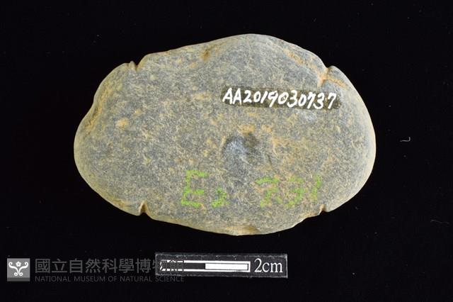 網墜藏品圖，第2張