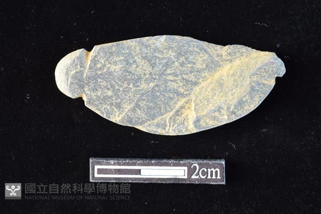 網墜藏品圖，第2張