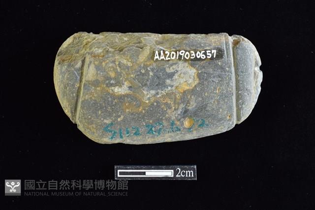 網墜藏品圖，第2張