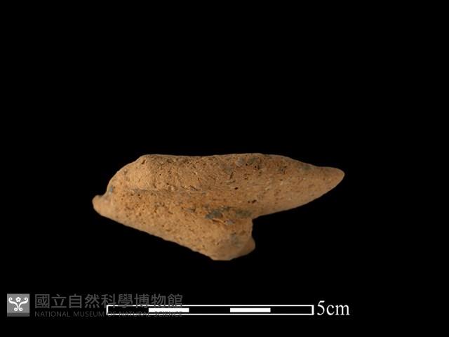 陶罐藏品圖，第2張