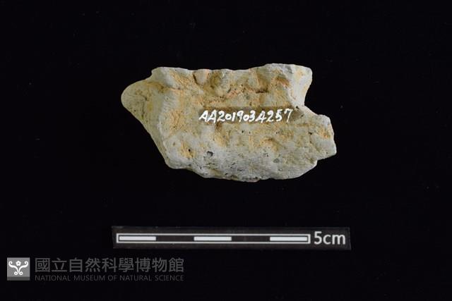 圈足藏品圖，第2張