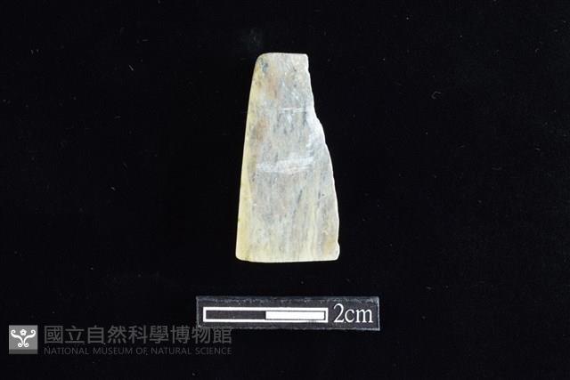 錛鑿形器藏品圖，第2張